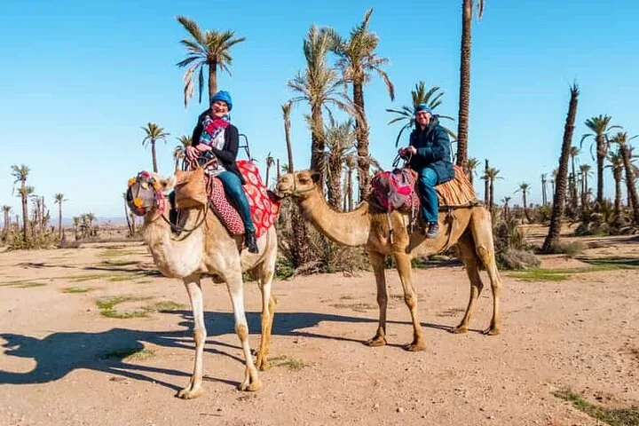 Quad Bike and Camel Ride in Marrakech Palmeraie photo 2