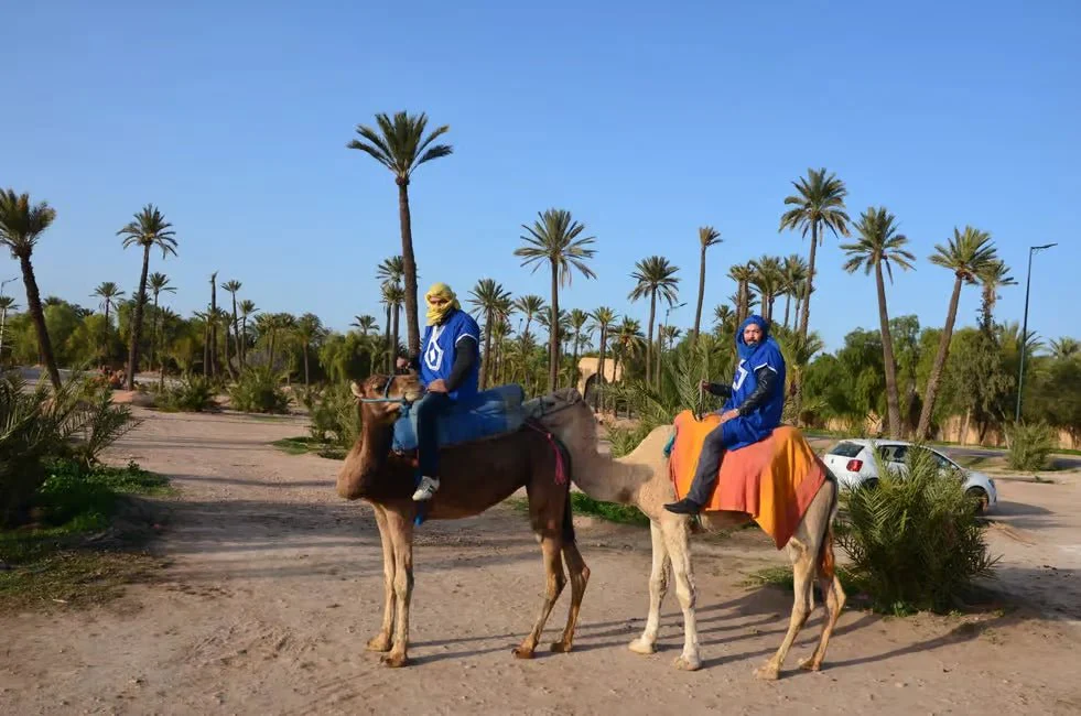 Quad Bike and Camel Ride in Marrakech Palmeraie photo 5