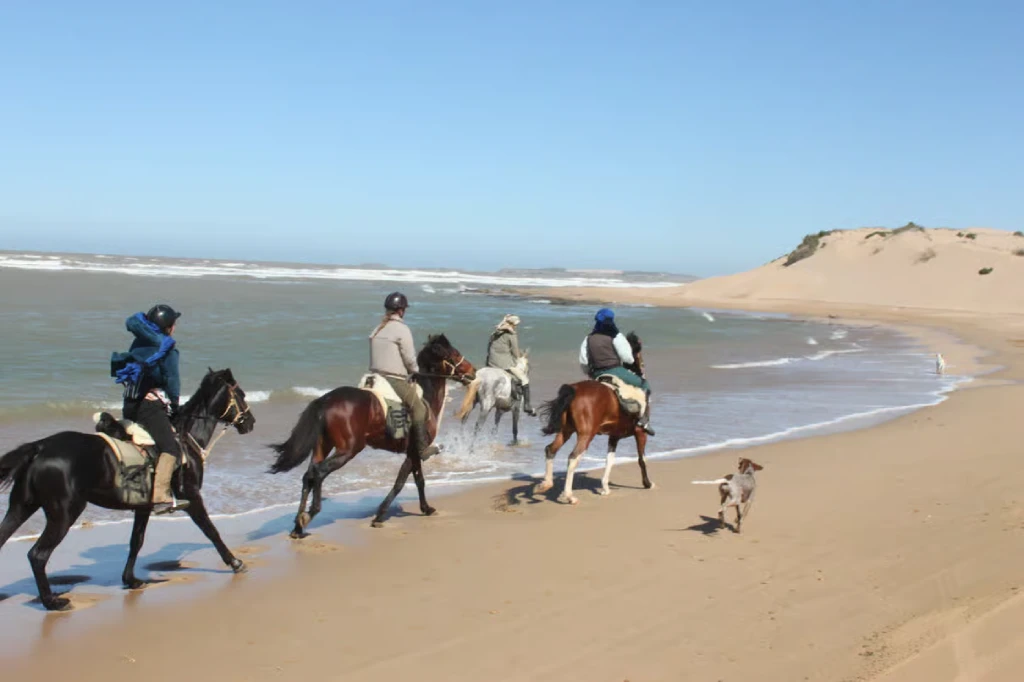 Horseback Ride on Essaouira Atlantic Beach