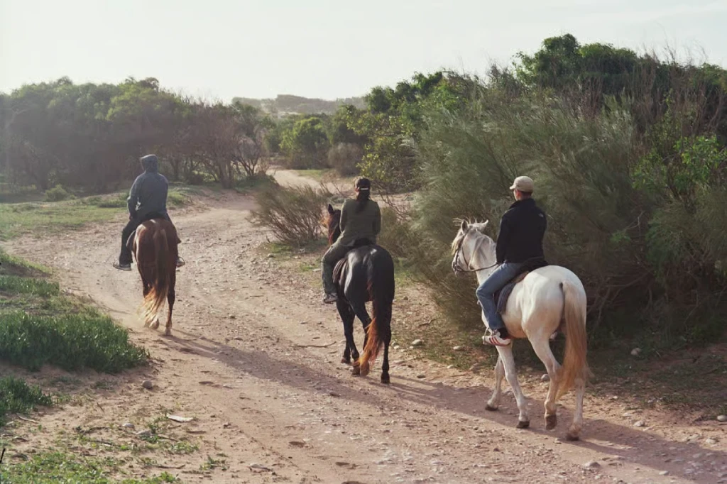 Ridetur på Essaouiras Atlanterhavsstrand photo 4