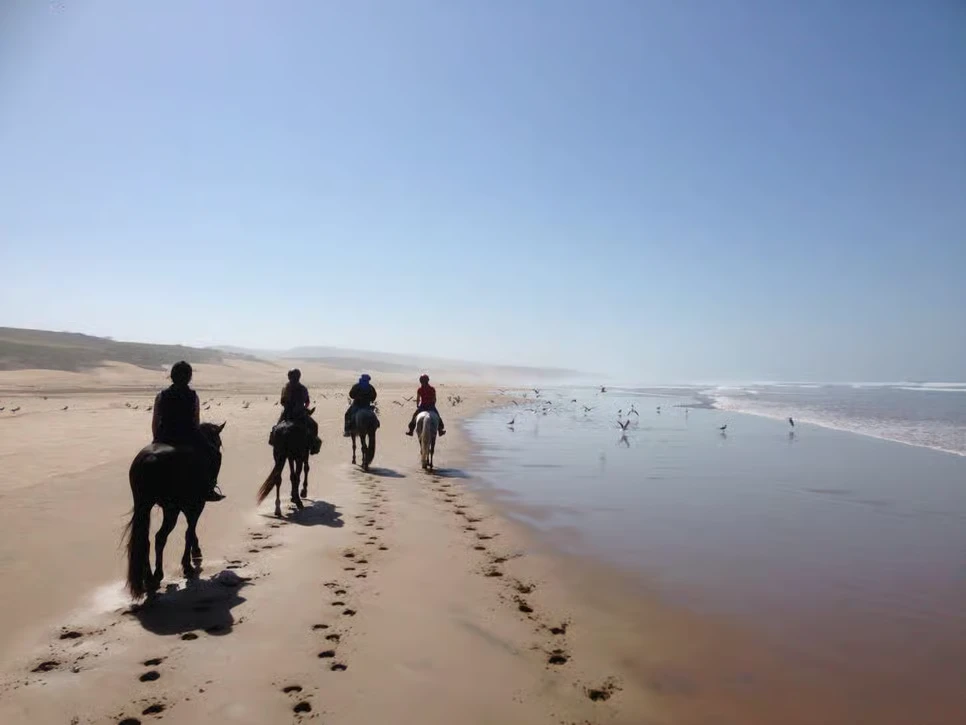 Ridetur på Essaouiras Atlanterhavsstrand photo 5